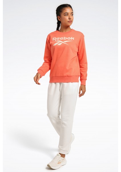 Rı Bl Fleece Crew Yavruağzı Kadın Sweatshirt modelleri