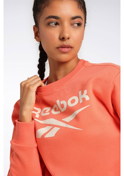 Rı Bl Fleece Crew Yavruağzı Kadın Sweatshirt fırsatları