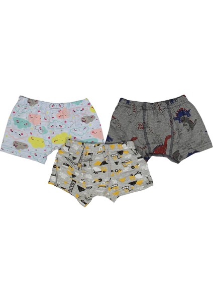 Desenli Erkek Boxer