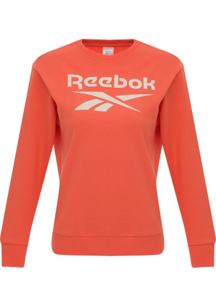 Rı Bl Fleece Crew Yavruağzı Kadın Sweatshirt indirimleri