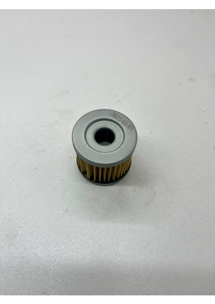 Tvs Apache Yağ Filtresi fiyatları