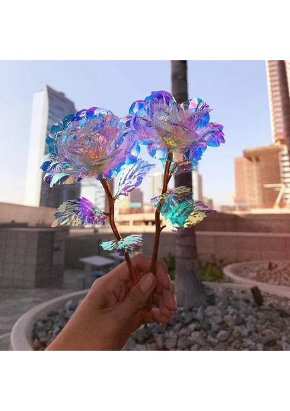 2 Adet Sonsuzluk Gülü