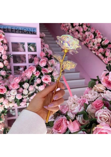 2 Adet Sonsuzluk Gülü fiyatları