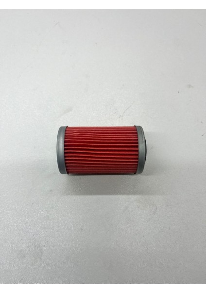 Bajaj Pulsar Ns 200- RS200 Yağ Filtresi