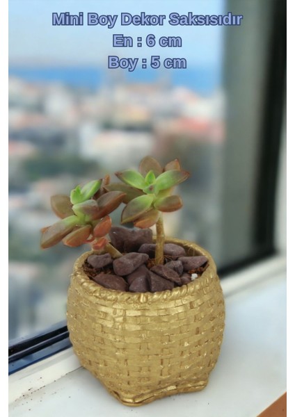 El Yapımı Saksı Altın Dekoratif Saksı Küçük Boy Model 29