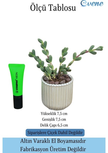 Mini Çiçek Saksı Küçük Sukulent Altın Eskitme Kaktüs Saksısı Vintage Düz Çizgili Model fiyatları