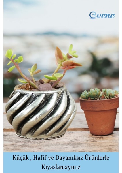 Mini Çiçek Saksı Küçük Sukulent Beyaz Kaktüs Saksısı Kalın Çizgili Spiral Model modelleri