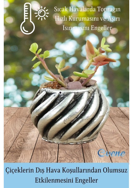 Mini Çiçek Saksı Küçük Sukulent Beyaz Kaktüs Saksısı Kalın Çizgili Spiral Model fırsatları