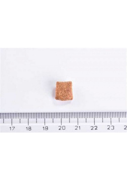 7 kg Yolu Problemi Olan Kısırlaştırılmış Kediler Için, Tahılsız, Hipoalerjenik, Taze Tavuk Etli Kuru Mama Nrmsa fiyatları