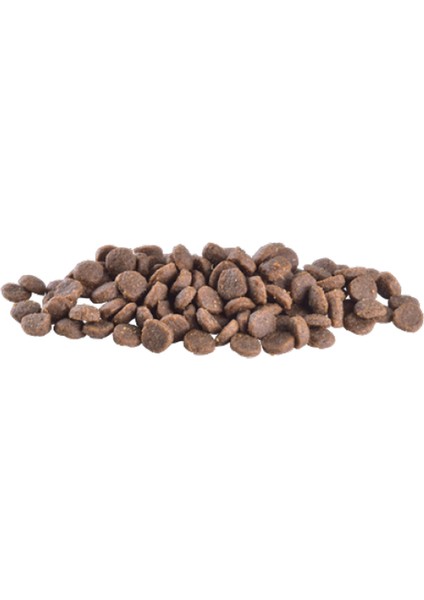 Zengezur Brit Care 7 kg Mini Irk Yavru Köpekler Için, Tahılsız, Hipoalerjenik Kuzu Etli Kuru Mama fırsatları