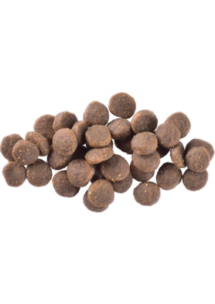 12 kg Deri ve Tüy Hassasiyeti Olan Yavru Köpekler Için, Tahılsız, Somonlu Kuru Mama Zrnet fiyatları