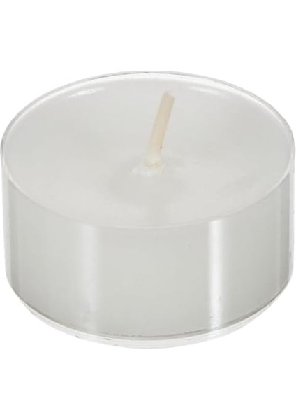 Maıson Citrus Düz Parafin Balmumu Tealight Mum, Beyaz, 8 Adet 12GR