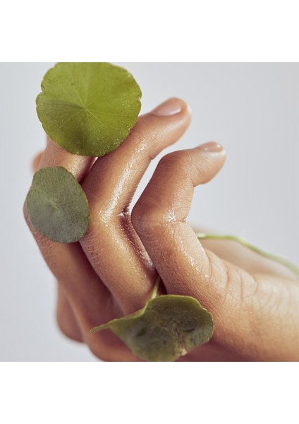 Centella Cleansing Oil - Temizleme Yağı-(180 ml)
