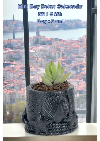 El Yapımı Saksı Seti Gümüş Dekoratif 6 Adet Saksı Küçük Boy Model 5