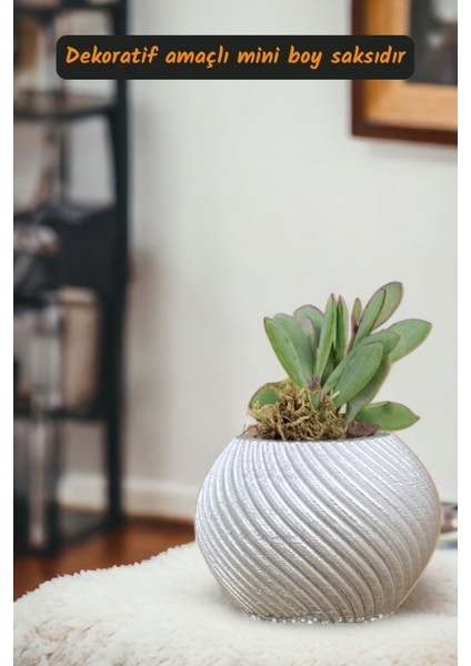 Premium Saksı Minyatür Dekoratif Kaktüs Sukulent Saksısı Model 1 fiyatları