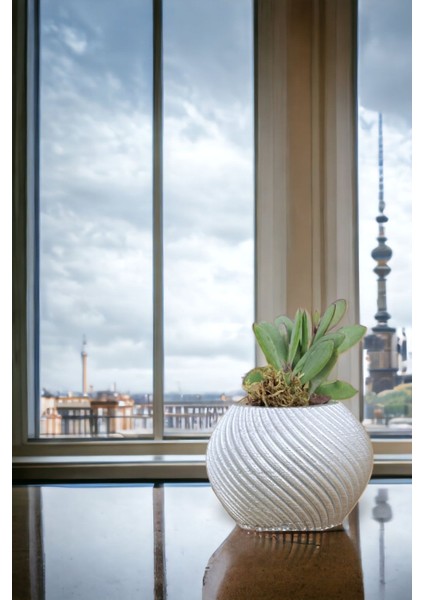 Premium Saksı Minyatür Dekoratif Kaktüs Sukulent Saksısı Model 1 indirimleri