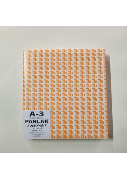 A3 Parlak Kuşe 115GR 250'LI