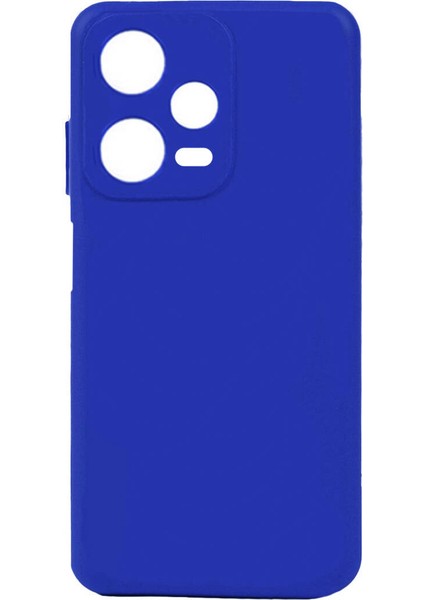 Xiaomi Redmi Note 12 Pro 5g Kılıf Zore Biye Silikon-Mavi