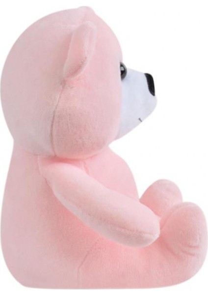 Ayı 20 cm Pembe Pelüş Ayı Çocuk Oyuncak modelleri