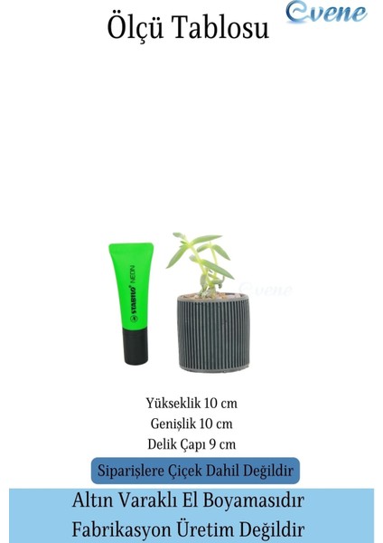 Mini Çiçek Saksı Küçük Sukulent Siyah Kaktüs Saksısı Düz Ince Çizgili Model fırsatları