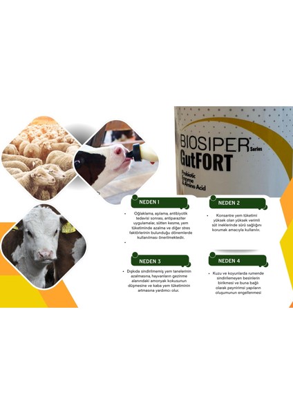 Bıosıper Serisi Gutfort Probiyotik 1000 ml (Küçükbaş/büyükbaş/buzağı) modelleri