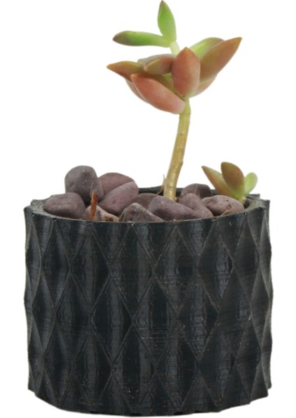 Mini Çiçek Saksı Küçük Sukulent Siyah Kaktüs Saksısı Baklava Çizgili Model