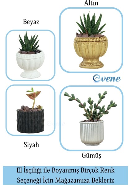 Mini Çiçek Saksı Küçük Sukulent Siyah Kaktüs Saksısı Baklava Çizgili Model fiyatları