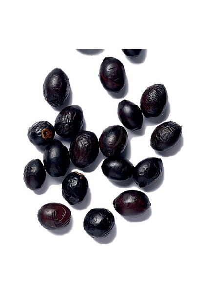 Defne Ağacı Tohumu 60 Adet - Laurus Nobilis