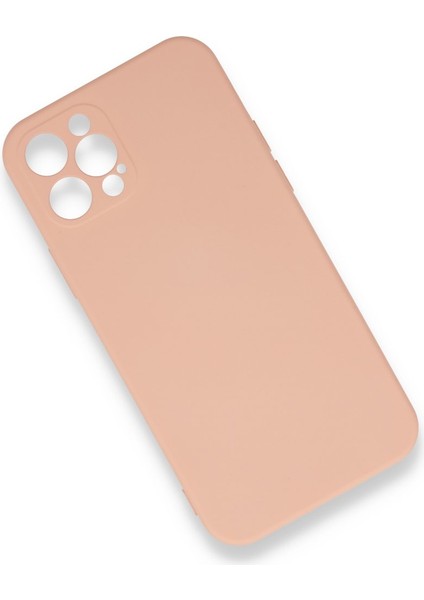 Apple iPhone 12 Pro Max Kılıf Lansman Içi Kadife Şık Sade Görünüm Azn-Nno