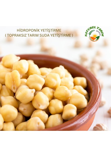 Beyaz Nohut( Hidroponik Üretim )2 kg fiyatları