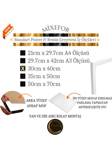 Poster Resim Evrak Çerçevesi Ön Kısmında Kırılmaz Pleksi Arka Destek Mdf Beyaz Renk Çerçeve modelleri