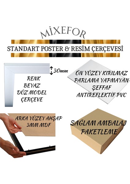 Poster Resim Evrak Çerçevesi Ön Kısmında Kırılmaz Pleksi Arka Destek Mdf Beyaz Renk Çerçeve modelleri