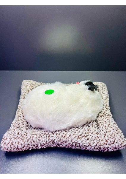 Gerçek Görünümlü Sesli Peluş Oyuncak Kedi 13*16 cm modelleri