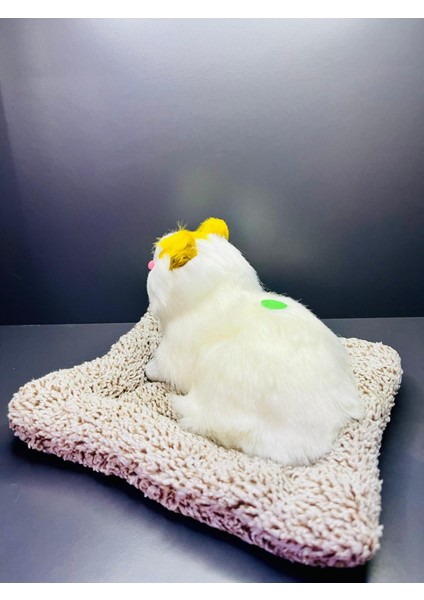 Gerçek Görünümlü Sesli Peluş Oyuncak Kedi 17*22 cm fiyatları
