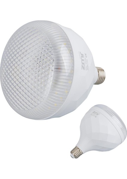 ZMR-113/B.65 50W Kristal Camlı T-Bulb Beyaz LED Ampul E27 6500K (15X19MM)