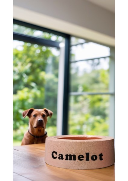 Beton Kedi/Köpek Mama Veya Su Kabı Kahverengi modelleri
