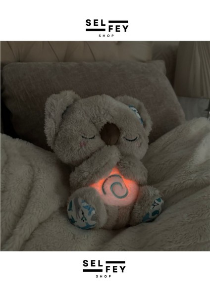 Nefes Alan Koala