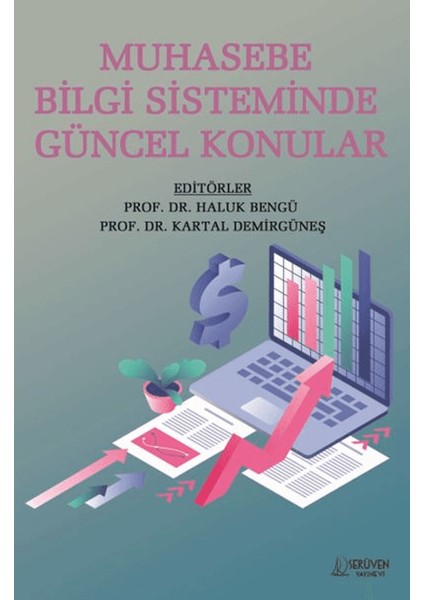 Muhasebe Bilgi Sisteminde Güncel Konular