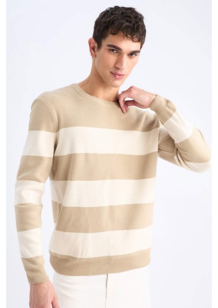 Standart Fit Bisiklet Yaka Triko Kazak D1968AX24AU