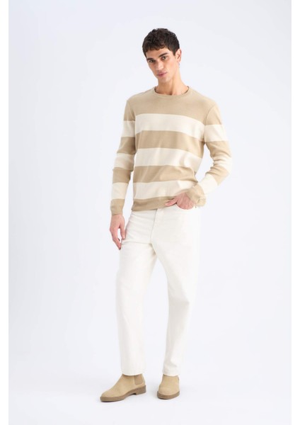 Standart Fit Bisiklet Yaka Triko Kazak D1968AX24AU fiyatları