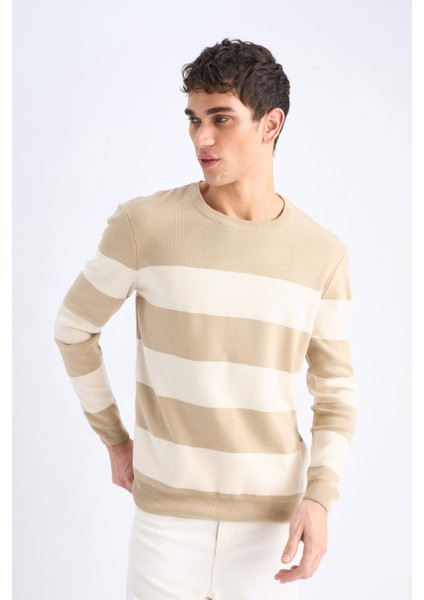 Standart Fit Bisiklet Yaka Triko Kazak D1968AX24AU modelleri