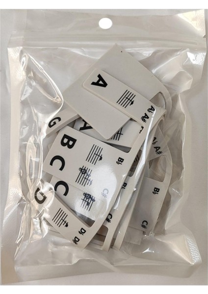 Başlayanlar Için Etiketi Egzersiz Öğrenme Dersleri Için 61 Tuş (Yurt Dışından)