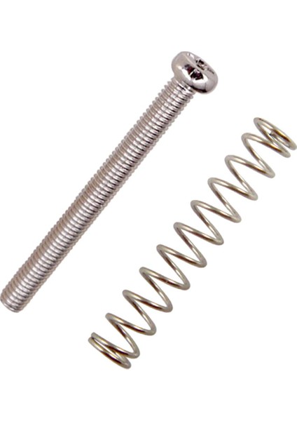 Elektrik Bas Üsü Kı/ - (Yurt Dışından) fırsatları