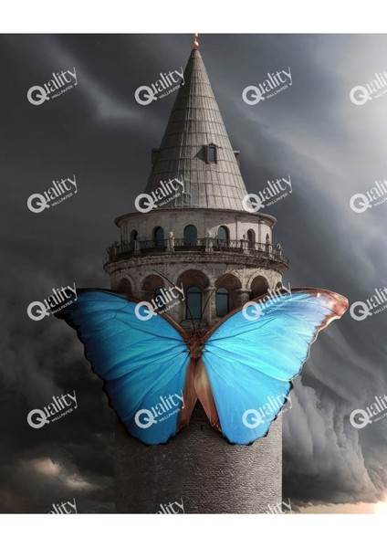 Galata Kulesi ve Kelebek Poster Duvar Kağıdı
