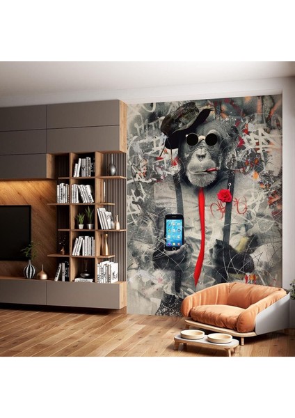 Maymun ve Cep Telefonu Poster Duvar Kağıdı