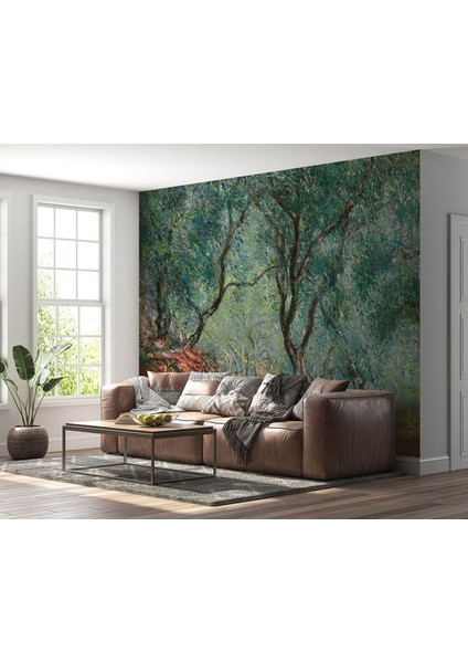 Bois D Oliviers Au Jardin Poster Duvar Kağıdı