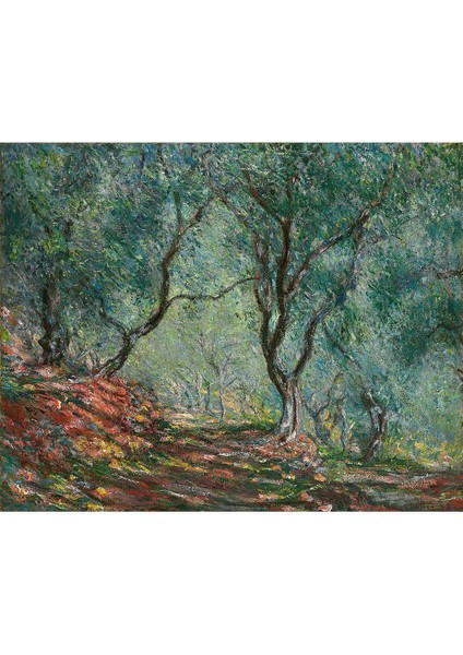 Bois D Oliviers Au Jardin Poster Duvar Kağıdı fiyatları