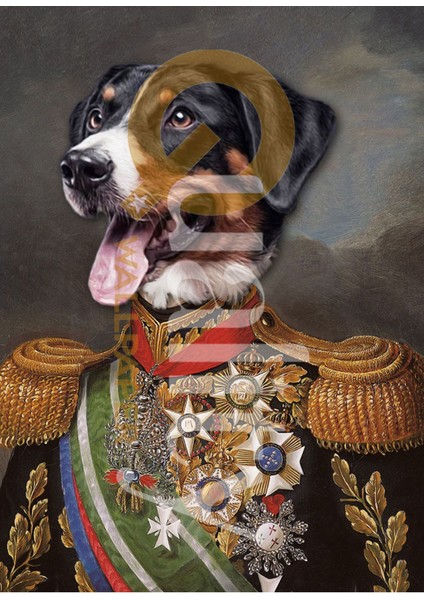 Köpek Kont Poster Duvar Kağıdı