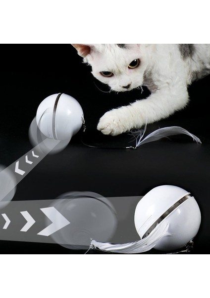 Evcil Hayvan Topu Oyuncak Renkli LED Dönen Flaş Topu Oyuncak Kedi USB Kedi Oyuncak (Yurt Dışından) indirimleri