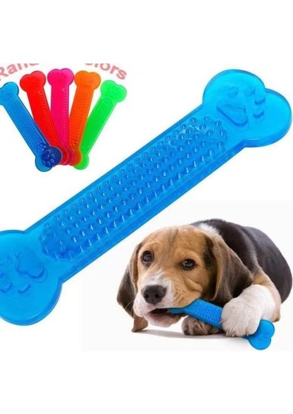 3 Parçalı Set Evcil Kedi Çiğneme Oyuncakları Kauçuk Kemik Oyuncak Çiğneme Köpek Diş Fırçası Köpek Yavrusu (Yurt Dışından)